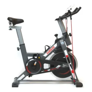 Bicicleta Fija Spinning Randers Arg-874sp-r 13 Kg Gris