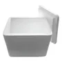 Conservadora Telgopor Blanca 25.5x19x20 cm