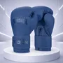 Guantes de Boxeo Punisher 12 Oz Color Azul