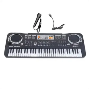 Teclado Musical Organo Piano 5 Octavas Ritmos Timbres Negro