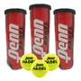 Pack Pelotas Tenis Pádel Penn Alto Rendimiento Amarillo
